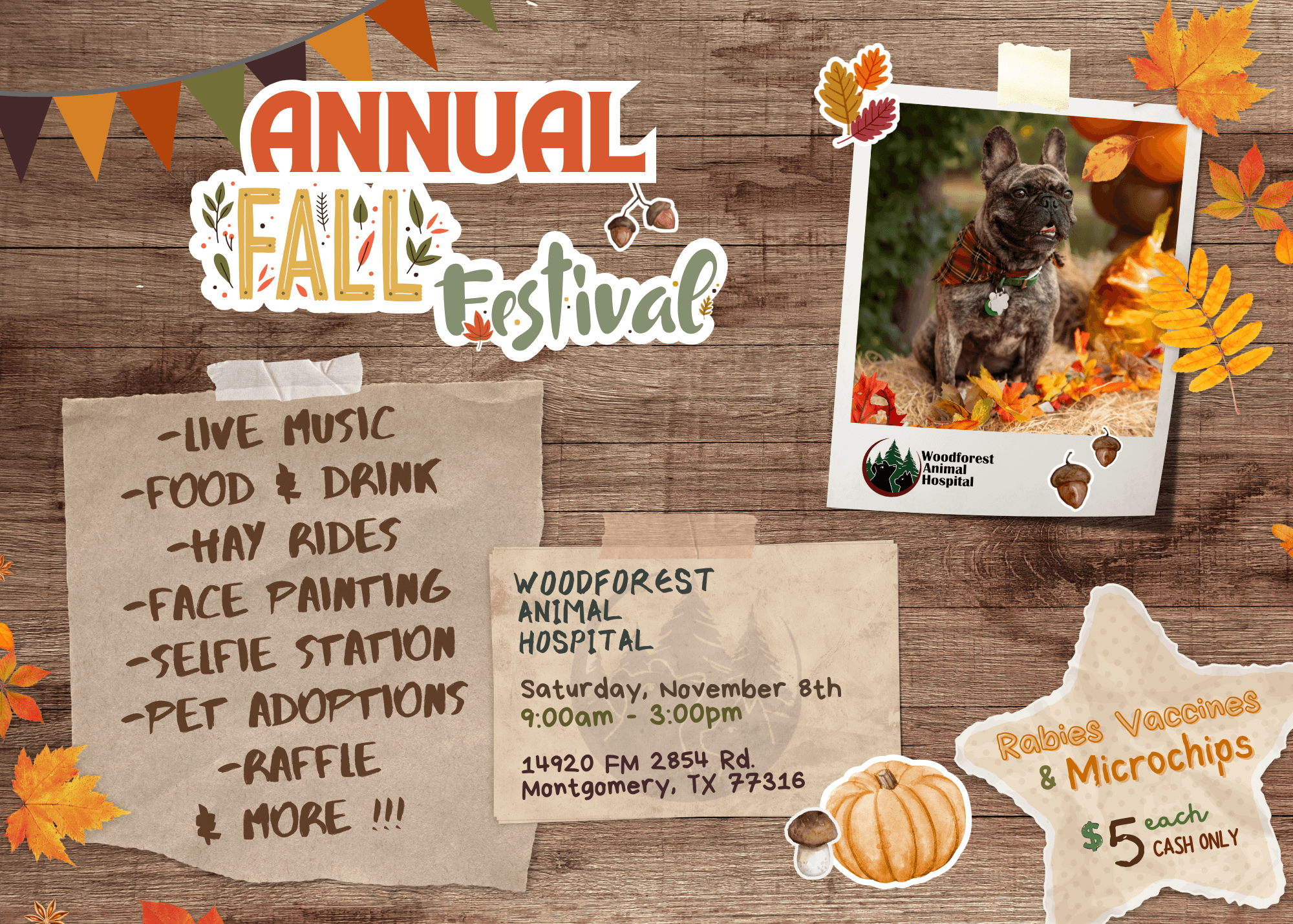 Fall Festival